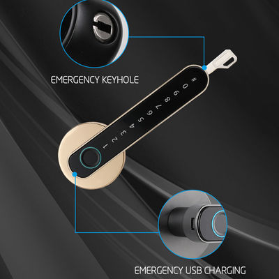 Qleung S604L Smart Fingerprint Door Lock With Wifi Tuya App Control Keyless Password For Bedroom Tuya Home