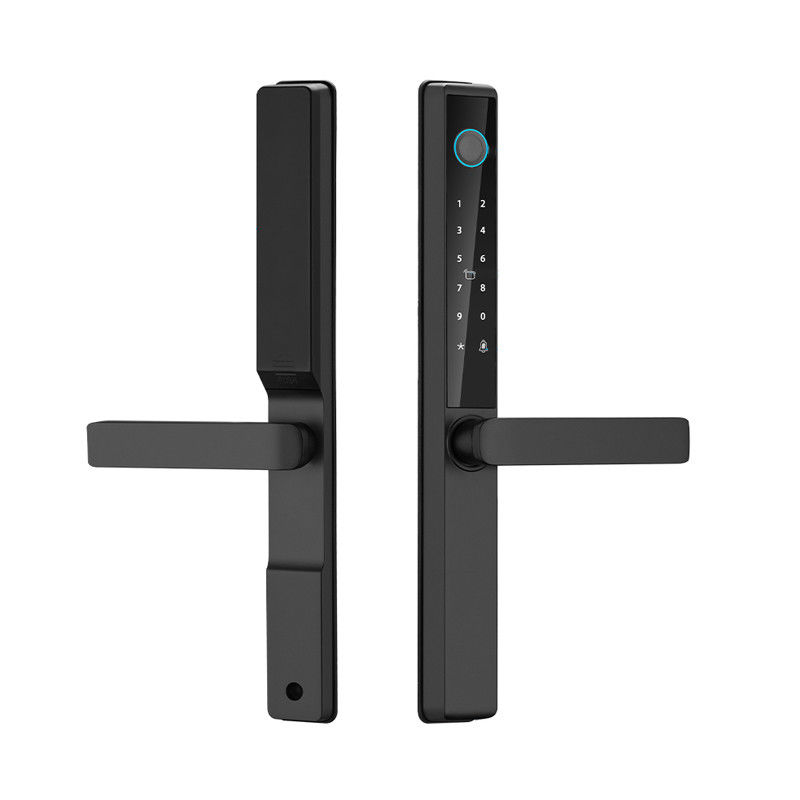 Qleung Waterproof Digital Door Lock Tuya TTlock APP Framed Glass Password Card Fingerprint S960 Smart