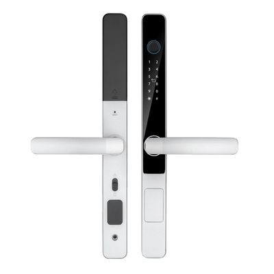 IP65 Αδιάβροχο έξυπνο Tuya Wifi τηλεχειριστήριο TTlock App ψηφιακό κλειδί πόρτας