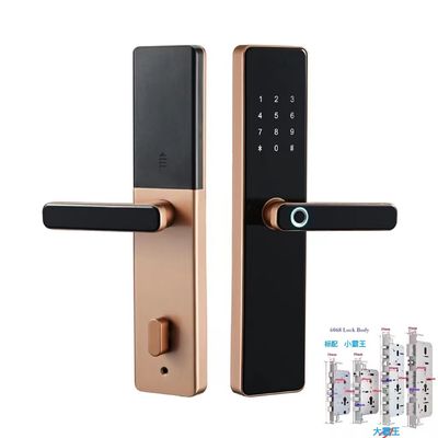 6068 Mortise TTlock Wifi Tuya κλειδαριά πόρτας με δακτυλικά αποτυπώματα και κωδικό πρόσβασης