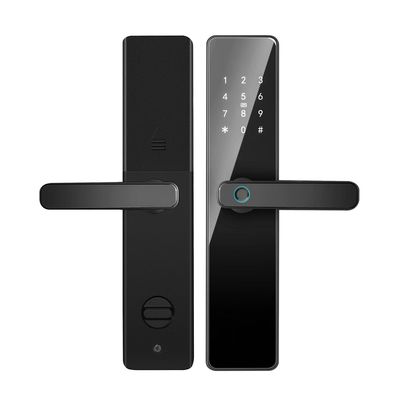 Qleung S819 Αλουμινίου Πύλη δακτυλικά αποτυπώματα WiFi ενεργοποιημένο Tuya TTlock με κωδικό πρόσβασης Κλειδί κάρτα για το σπίτι