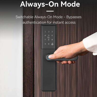 Έξυπνη κλειδαριά πόρτας Qleung S851 Tuya με αποθήκευση δεδομένων cloud, κύλινδρος κλειδαριάς βαθμού Β και δίκτυο Wi-Fi